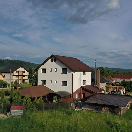 Pensiunea Lacul Albesti Albestii Paminteni Экстерьер фото