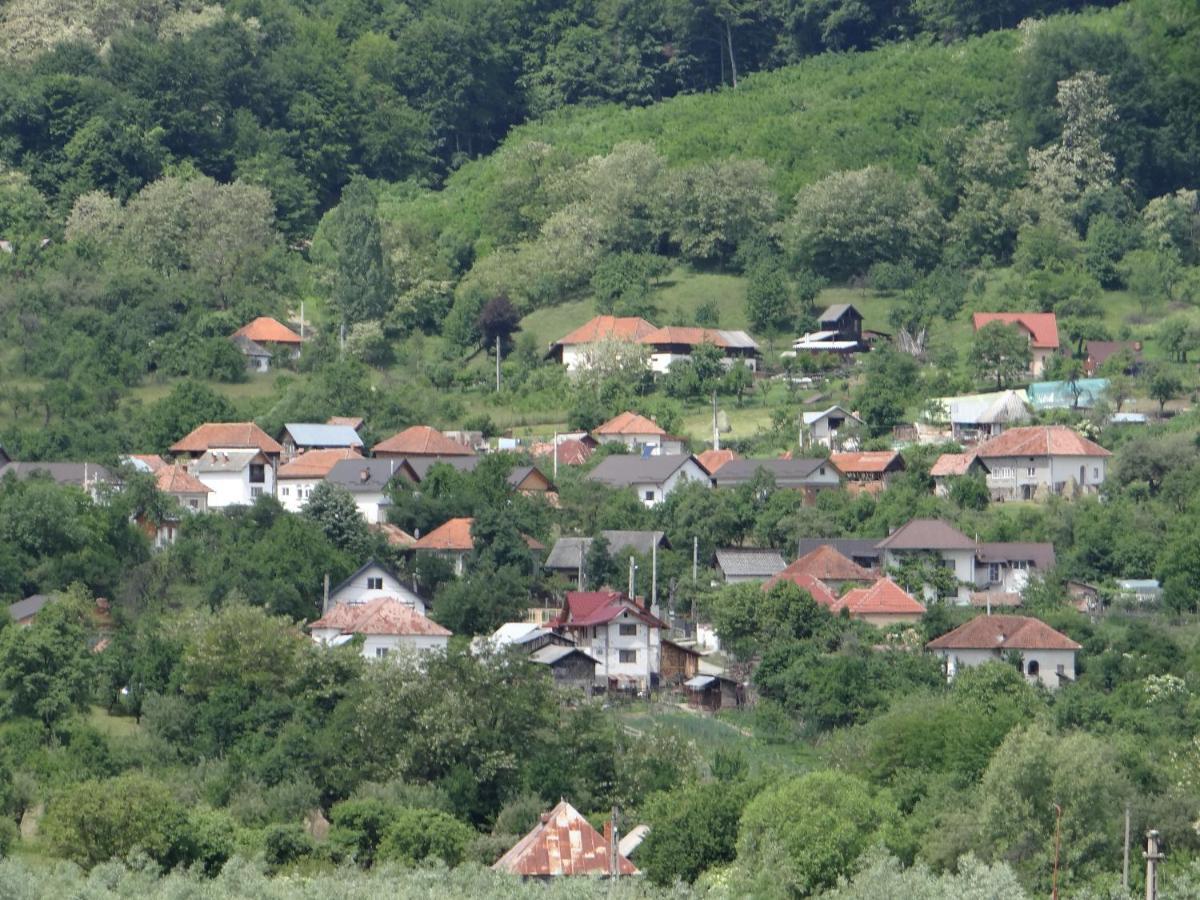 Pensiunea Lacul Albesti Albestii Paminteni Экстерьер фото