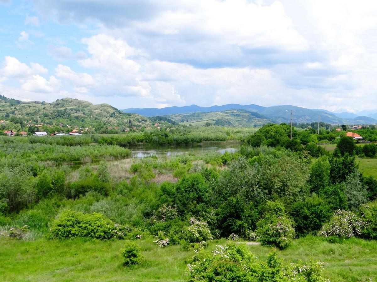 Pensiunea Lacul Albesti Albestii Paminteni Экстерьер фото