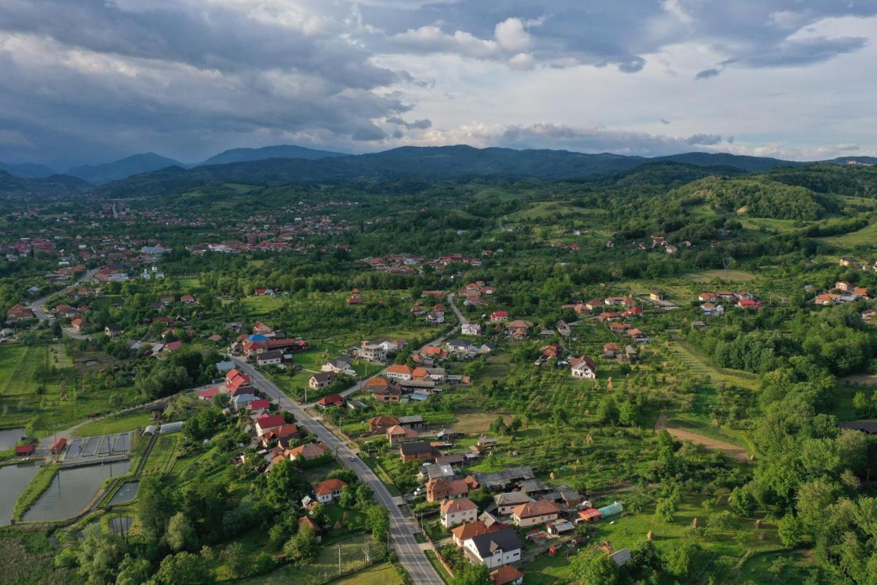 Pensiunea Lacul Albesti Albestii Paminteni Экстерьер фото
